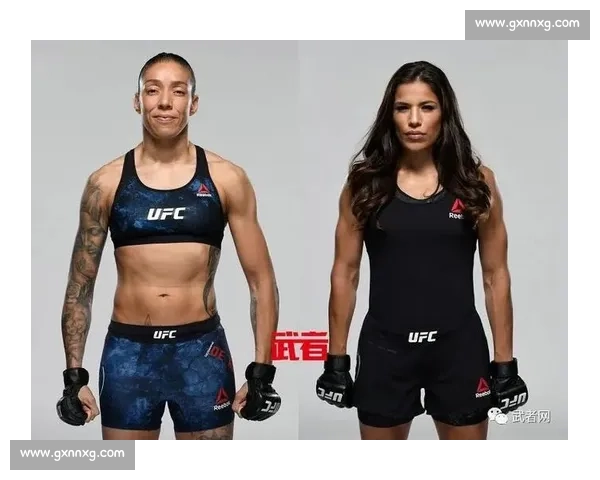 UFC索萨VS经典对决回顾与技术解析及未来冠军之路展望 UFC索萨VS经典对决回顾与技术解析及未来冠军之路展望